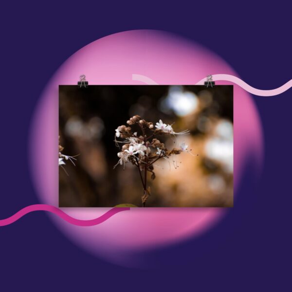 Flower Portrait Poster - Image 2