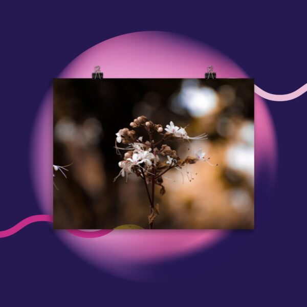 Flower Portrait Poster - Image 3