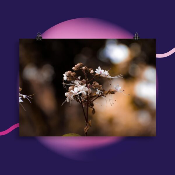 Flower Portrait Poster - Image 4