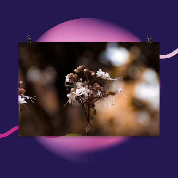 Flower Portrait Poster - Image 5