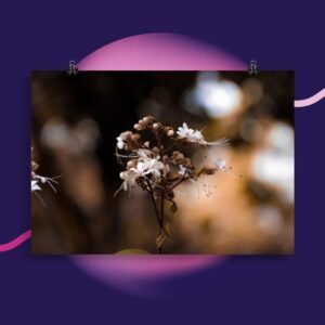 Flower Portrait Poster