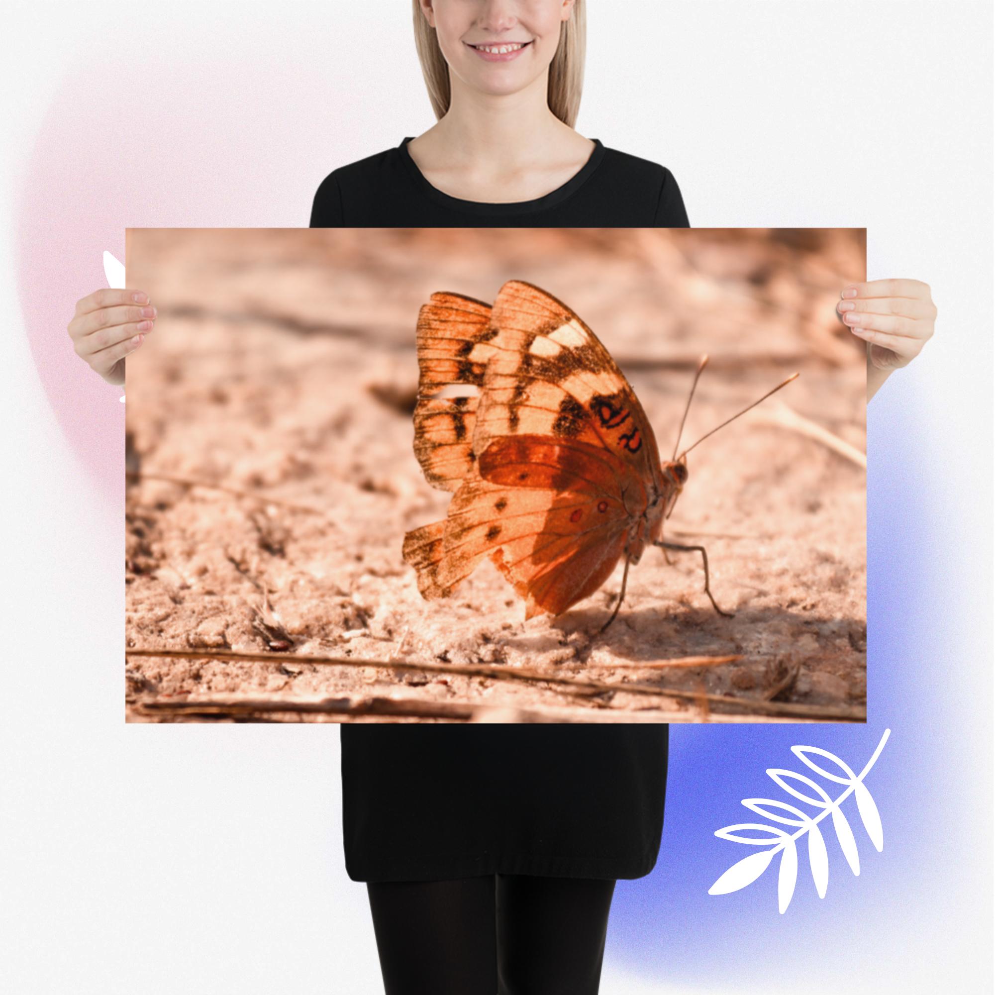 Butterfly Beauty Photo paper poster