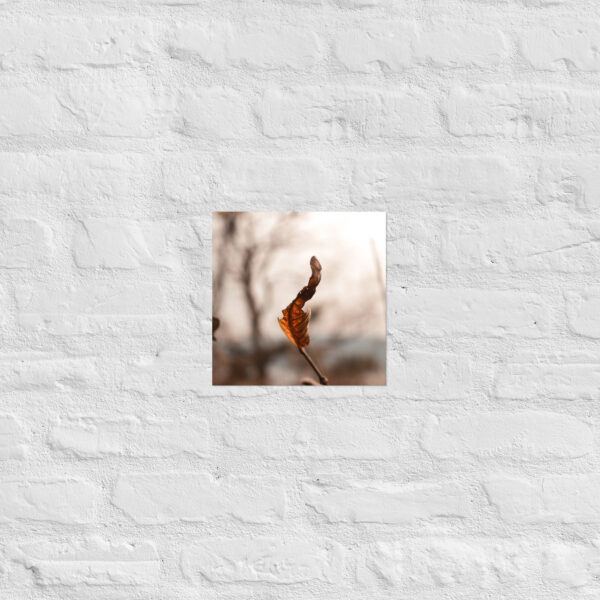Autumn Leaf Poster - Image 3