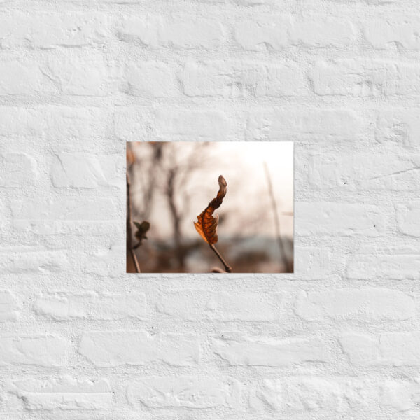 Autumn Leaf Poster - Image 4