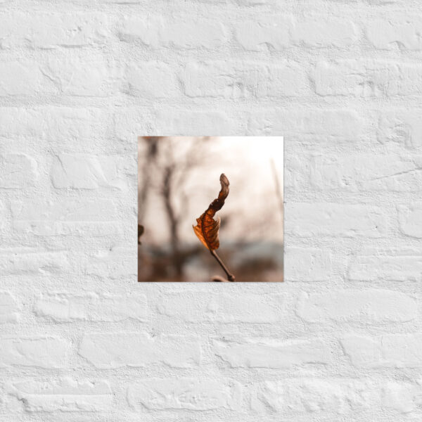 Autumn Leaf Poster - Image 5