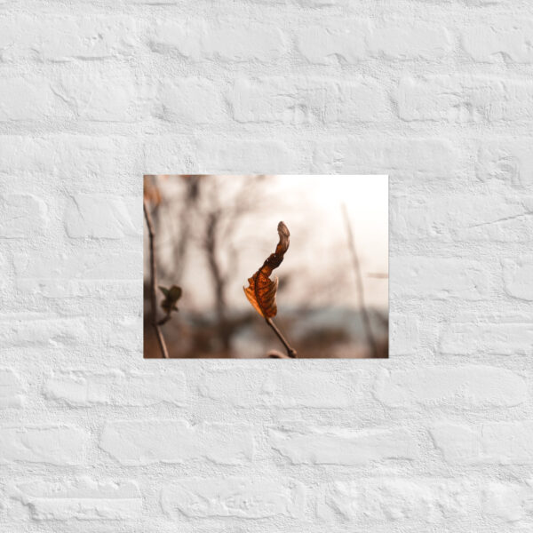 Autumn Leaf Poster - Image 6