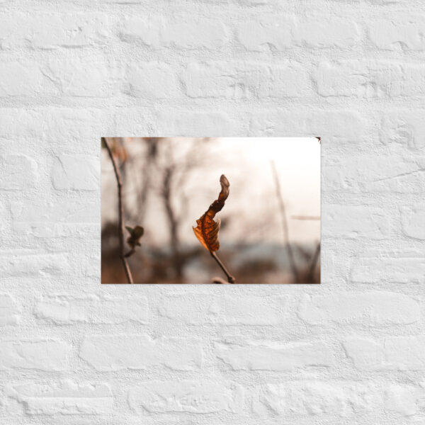 Autumn Leaf Poster - Image 7