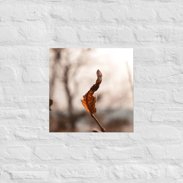Autumn Leaf Poster - Image 9