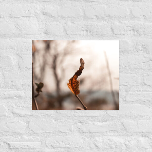 Autumn Leaf Poster - Image 10