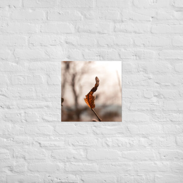 Autumn Leaf Poster - Image 11