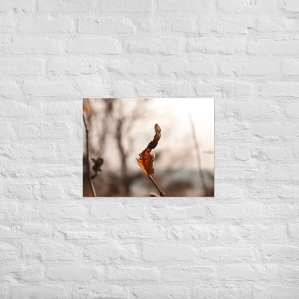 Autumn Leaf Poster - Image 12