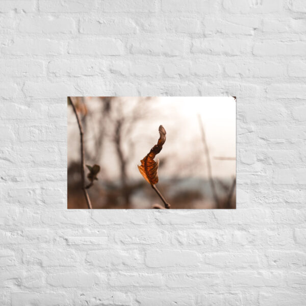 Autumn Leaf Poster - Image 13