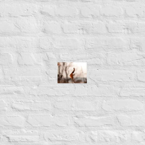 Autumn Leaf Poster - Image 15