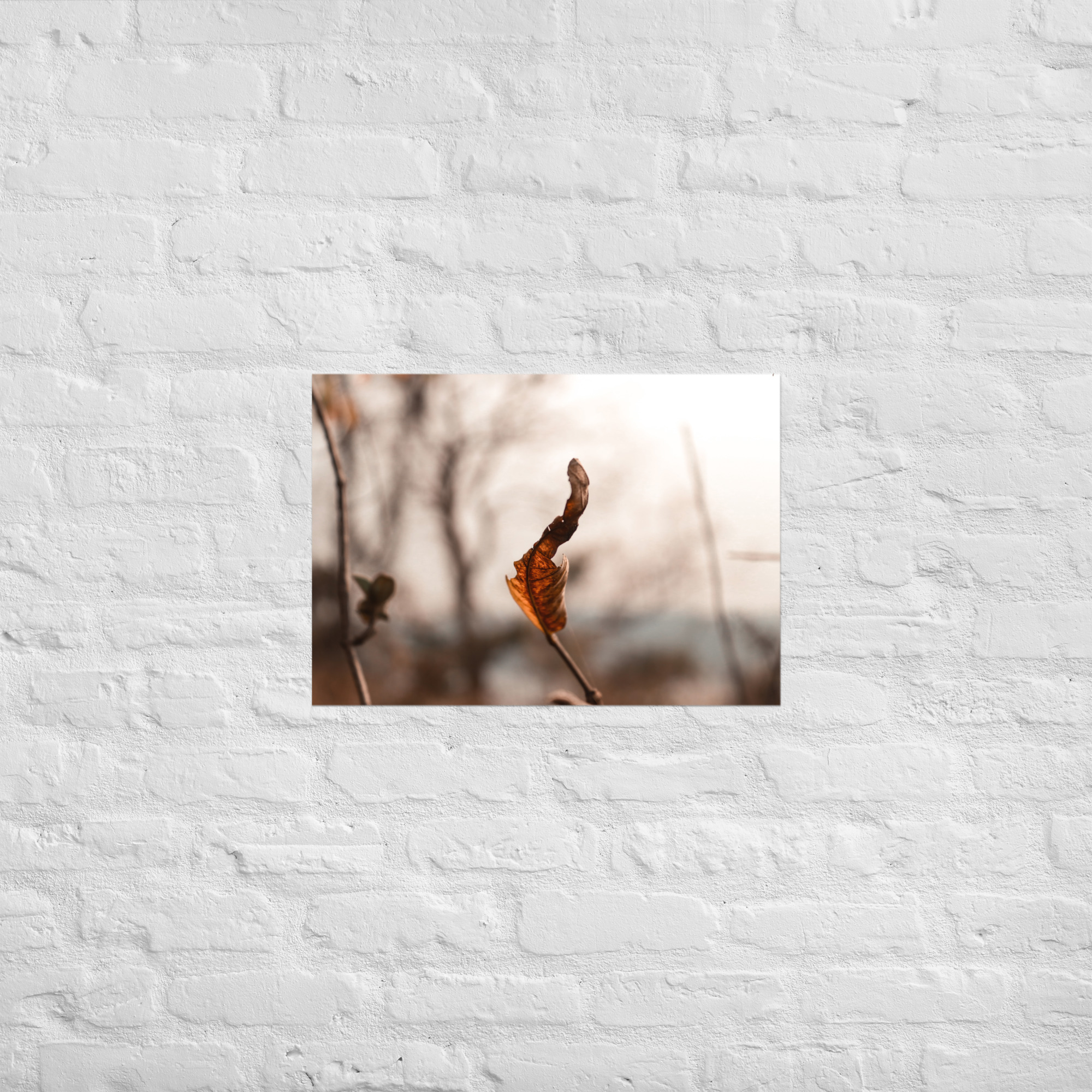 Autumn Leaf Poster