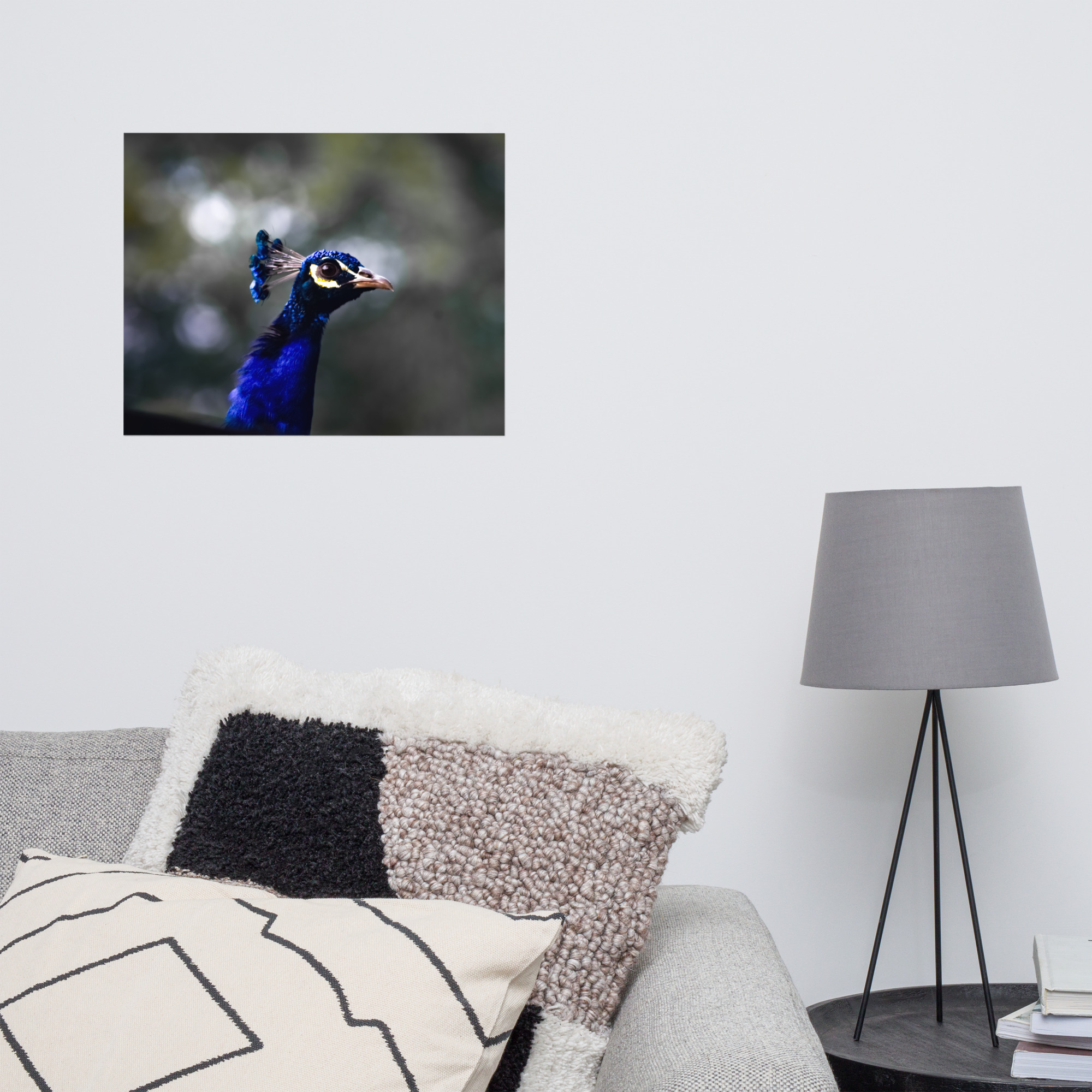 Peacock Photo paper poster