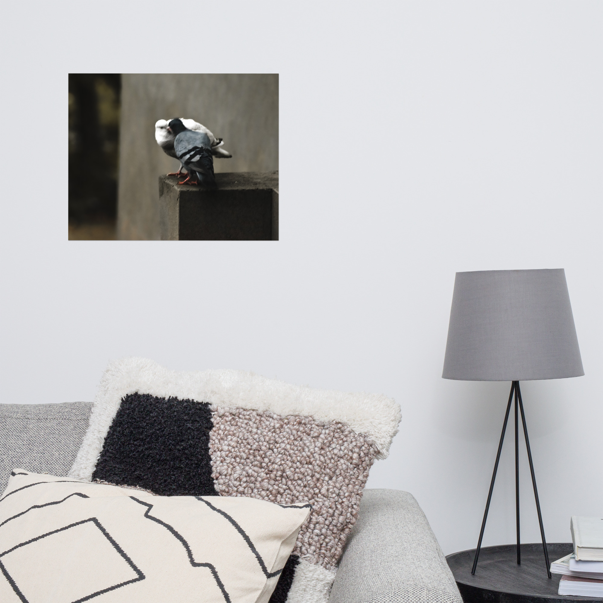 WIld Pigeon Photo paper poster